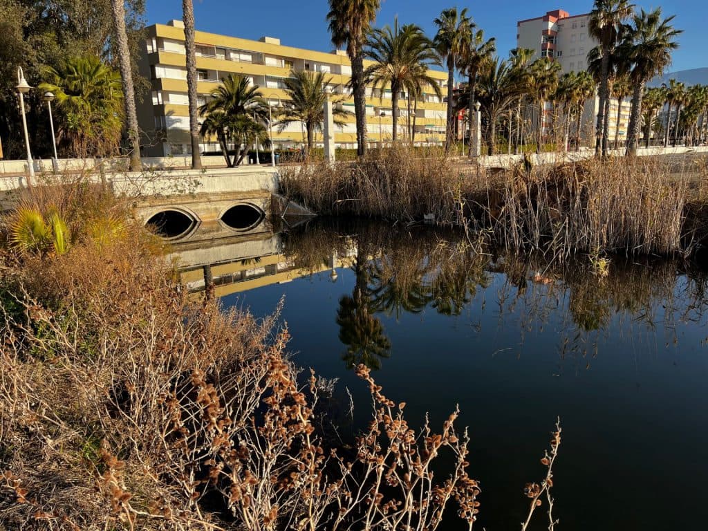 El PSOE alerta de la formación de grandes balsas de agua en la Playa de Poniente
