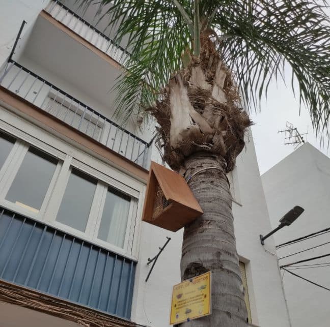 Salobreña crea una “red de hoteles” para insectos