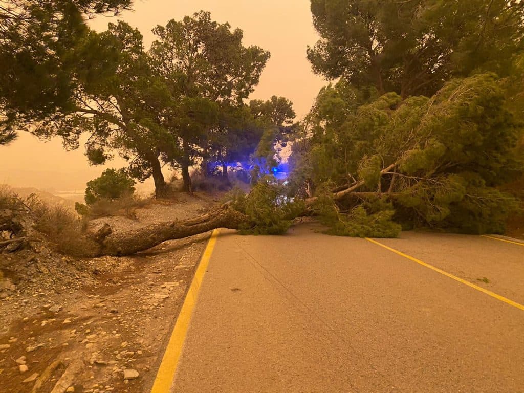 El viento azota la Costa Tropical provocando incidencias en calles, caminos y carreteras