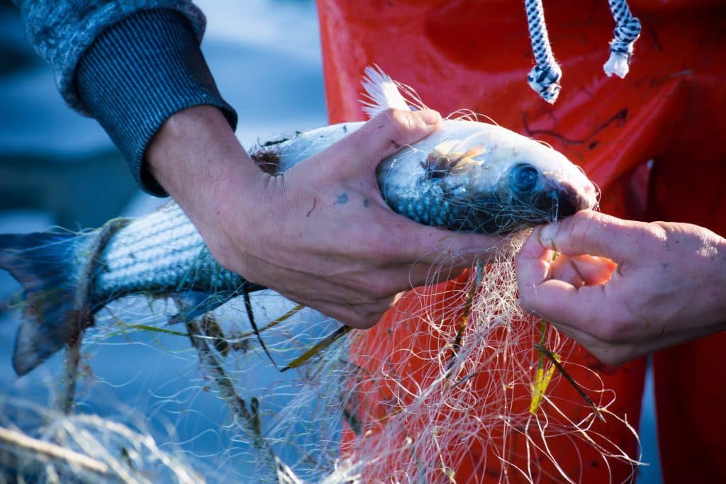Ayudas a los pescadores andaluces para frenar la crisis por la escalada de los costes de explotación