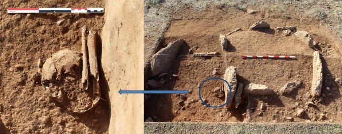 Hallan los restos de una mujer romana enterrada en la necrópolis megalítica de Panoría (Granada), que fue abandonada 2.600 años antes