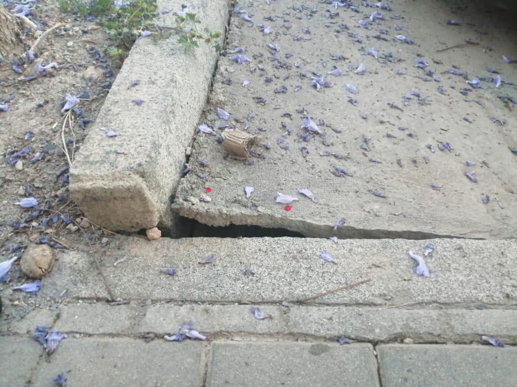 El PSOE alerta de la rotura de aceras y el levantamiento del asfalto en varias calles de Los Álamos por las raíces de los árboles
