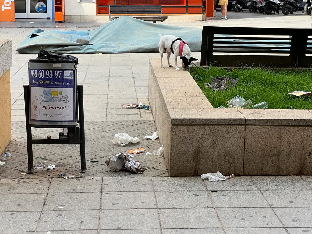 El PSOE denuncia la «lamentable situación de suciedad y dejadez» en que se encuentran lugares como la plaza de La Aurora, la calle Vílchez o  la Rambla de Capuchinos