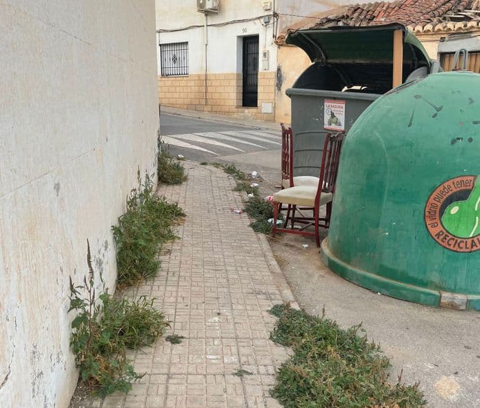 El PSOE denuncia la proliferación de matas y hierbas en todas las calles de Las Angustias