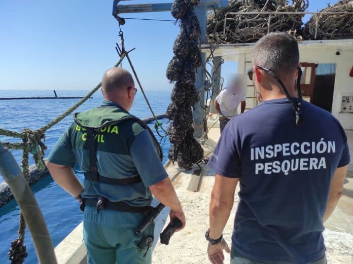 Intervenida más de una tonelada de mejillón extraído ilegalmente de una piscifactoría clausurada en aguas de Salobreña