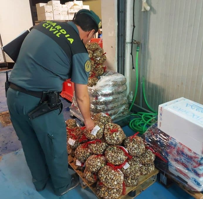 Decomisan 2.000 kilos de almejas inmaduras en la provincia de Granada