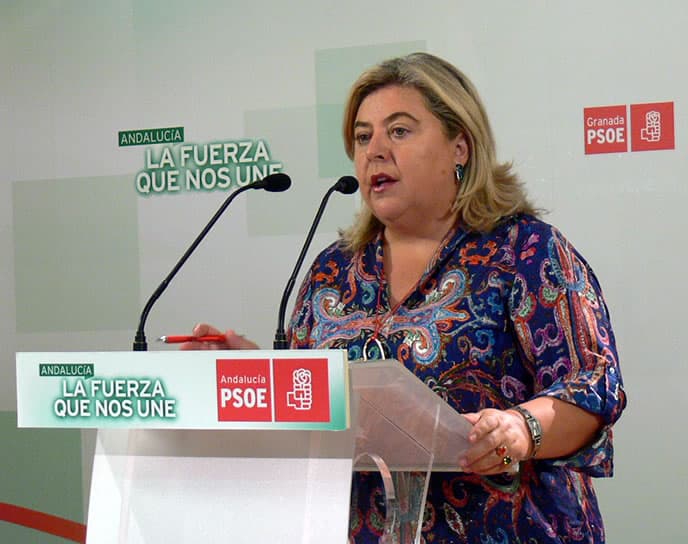 El Grupo Socialista registra una enmienda en el Parlamento Europeo para incluir en la Red Global Ferroviaria europea el tren Granada-Puerto de Motril