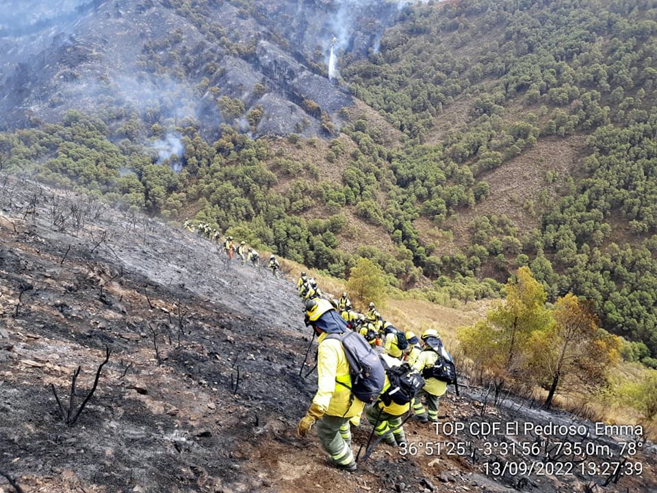 El PSOE exige a la Junta “mayor celeridad” en los trabajos urgentes tras el incendio de Los Guájares para “evitar más daños colaterales” en la zona afectada