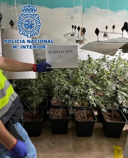 La Policía Nacional ha realizado durante el mes de agosto 20 operaciones en Granada y Motril que se han saldado con 20 detenciones
