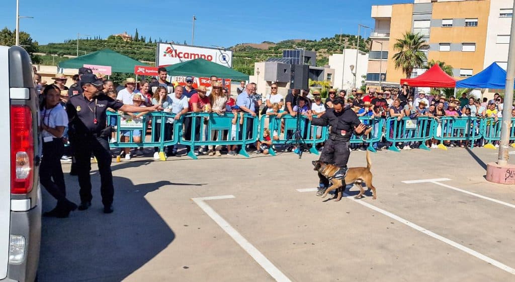 Alcampo se movilizaba para recoger productos para animales abandonados