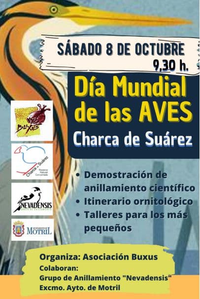 Día Mundial de las Aves: La Asociación Buxus organiza actividades abiertas a todos los interesados