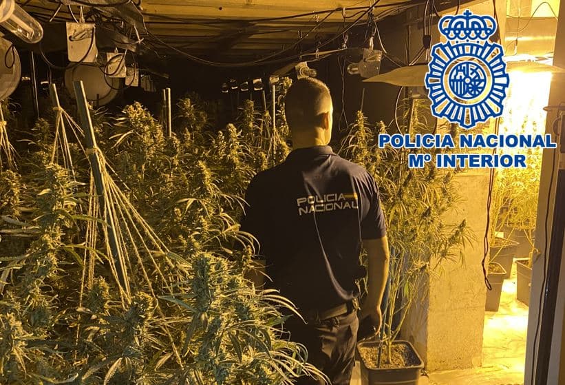 Desarticulada una organización criminal de origen albanés que operaba en la Costa Tropical y Costa del Sol, cultivando y procesando  grandes cantidades de marihuana que enviaba hacia el norte de Europa