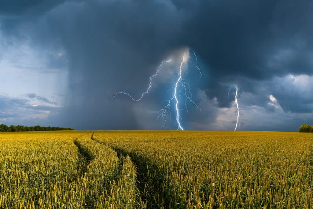La Junta aumenta un 61% las ayudas al seguro agrario, que alcanzarán los 12,4M€ en 2023