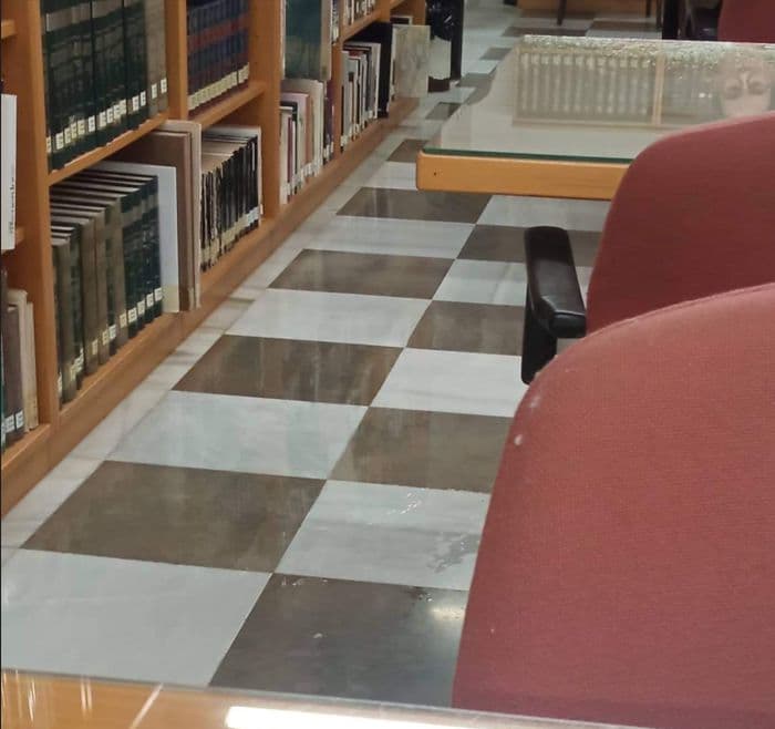 El PSOE denuncia la aparición de goteras en la biblioteca municipal de la Casa de La Palma