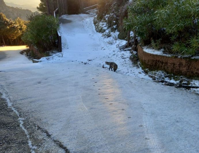 Ha vuelto a nevar en Peña Escrita, la zona alta de Almuñécar