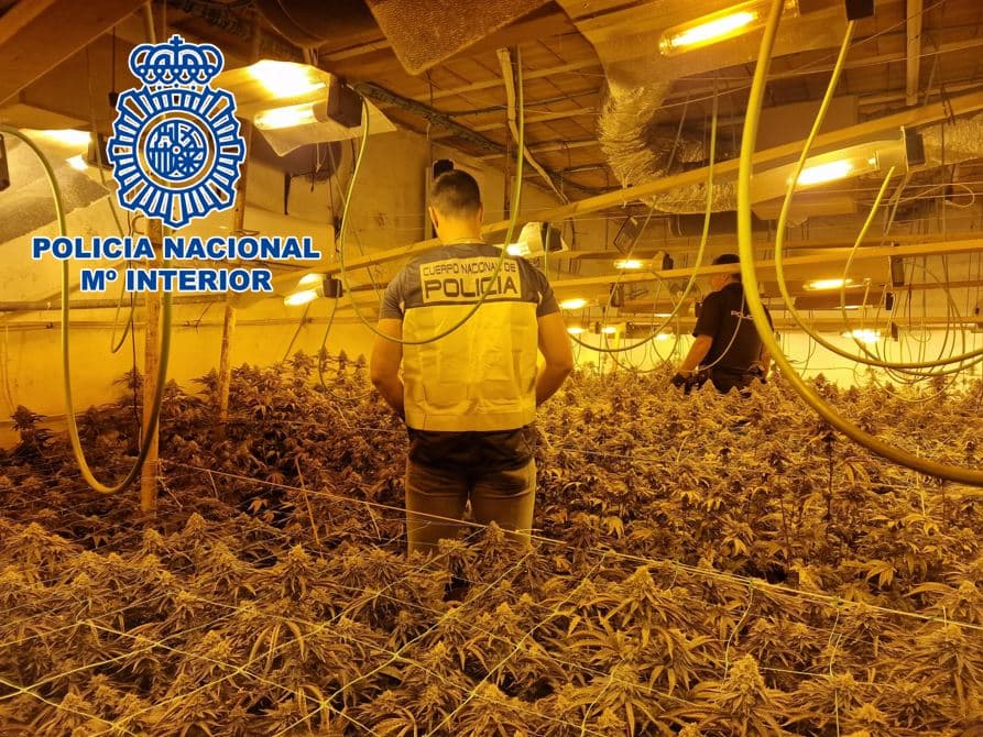 La Policía Nacional realiza 24 operaciones antidroga en Granada y Motril en el mes de enero, incautando hachís y plantas de marihuana