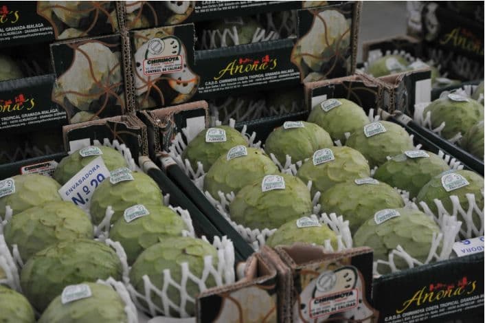 El sector hortofrutícola andaluz promociona su potencial y sostenibilidad en Fruit Logística 2023
