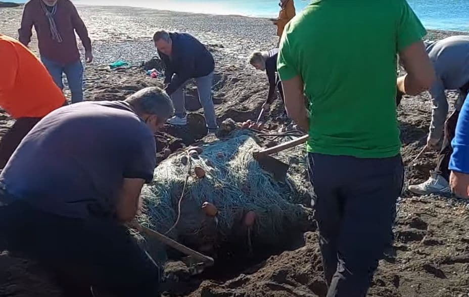 Voluntarios rescatan una red fantasma en el P.N. de Cabo de Gata