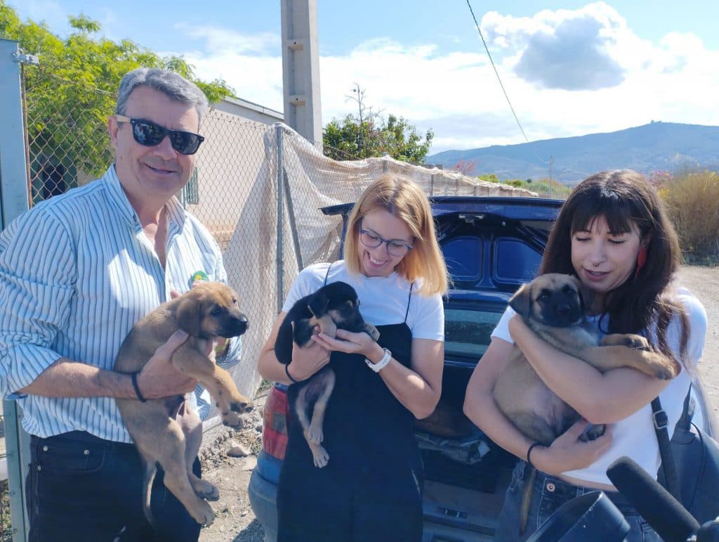 IU-Verdes Equo se compromete con la protección de los derechos de los animales para mejorar su bienestar