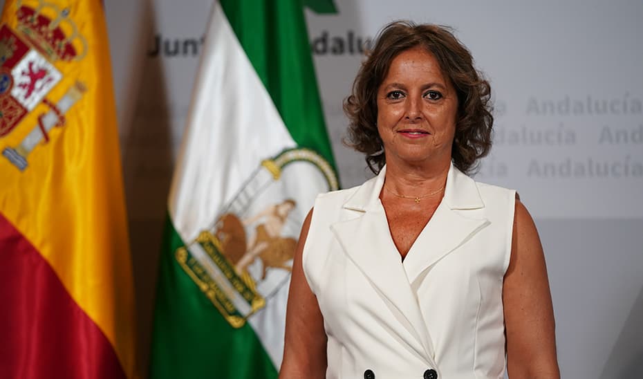 Andalucía trabaja en un sistema de notificación de incidentes y aprendizaje para la seguridad del paciente