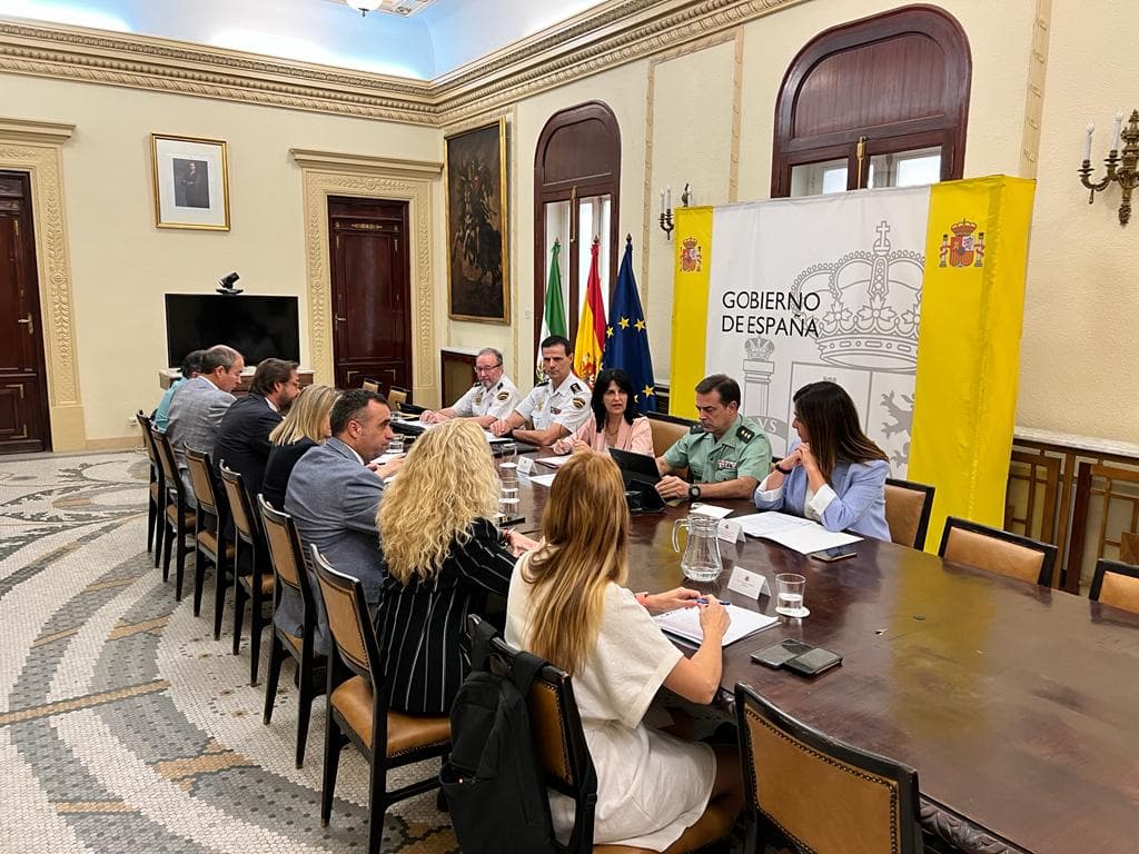 Las administraciones en Granada analizan posibles mejoras en la lucha contra los cortes de luz en la provincia
