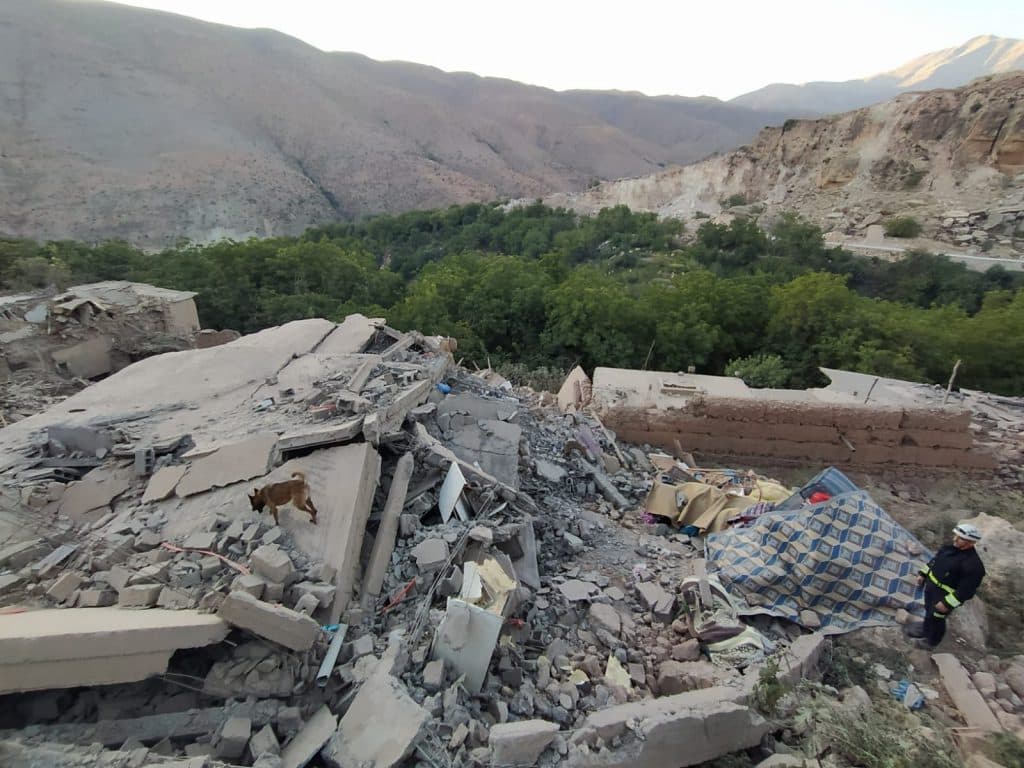 Regresan los efectivos de la Unidad Canina de Rescate de Bomberos de Almuñécar desplazada a Marruecos