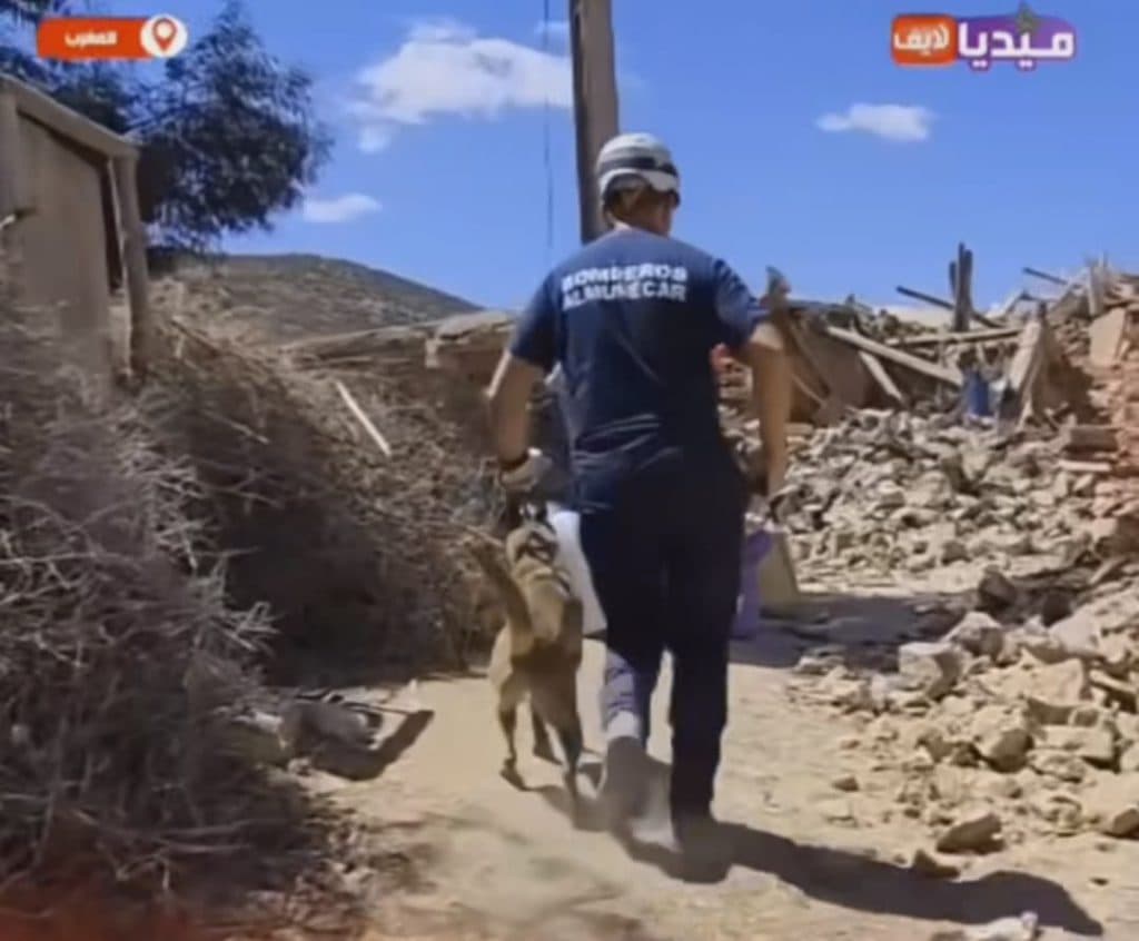Los Bomberos de la Unidad Canina de Rescate de Almuñécar comenzaron los trabajos de rescate de personas cerca del epicentro del terremoto de Marruecos