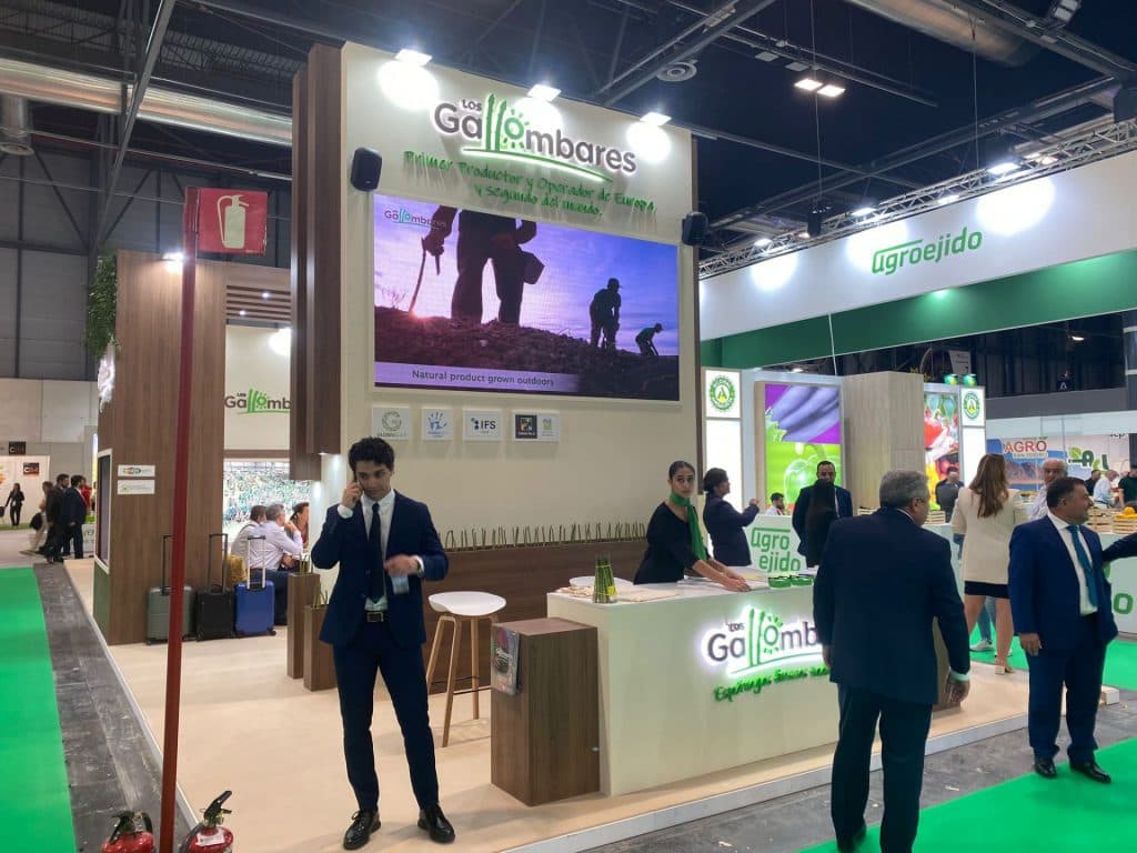 Los Gallombares refuerza su liderazgo europeo en espárrago verde con más producción e instalaciones sostenibles