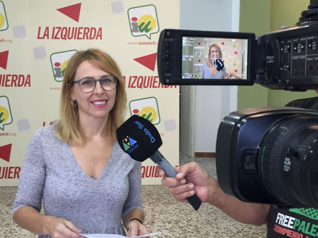 IU Verdes Equo denuncia la «situación de abandono generalizado en la limpieza, mantenimiento y conservación de la ciudad»