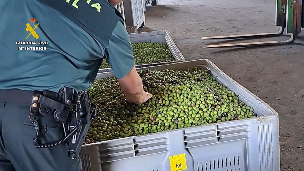 Intervenidas más de 91 toneladas de aceitunas y 400 litros de aceite con etiquetado falso
