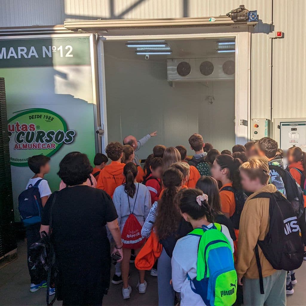 De la teoría a la práctica: Alumnos del CEIP Arcos de Torrecuevas descubren los secretos de las frutas tropicales en Los Cursos