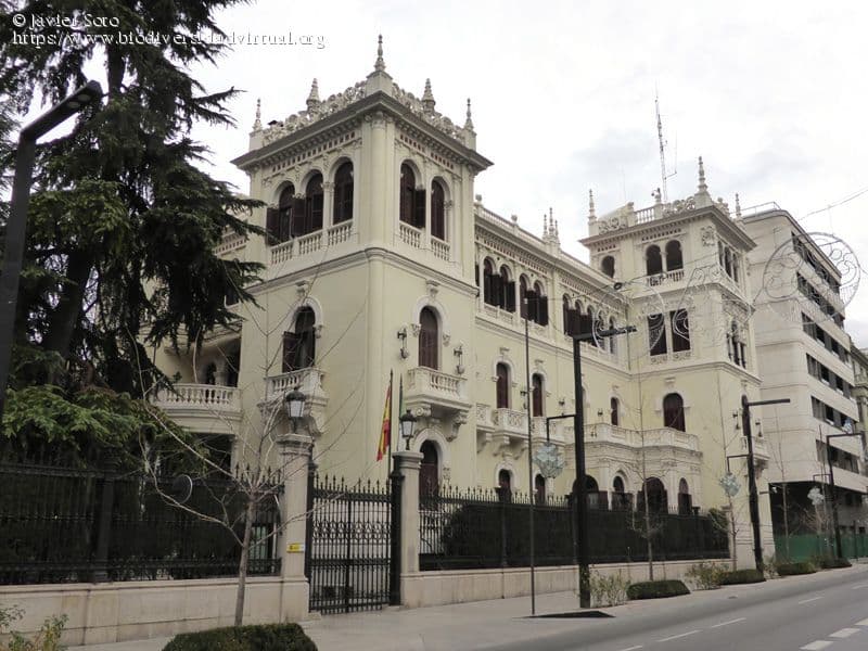 José Antonio Lorente, Proyecto Hombre, la Brigada de Policía Científica, de Policía Nacional y la Unidad Aérea de Guardia Civil, entre los distinguidos por la Subdelegación con motivo del 45º Aniversario de la Constitución
