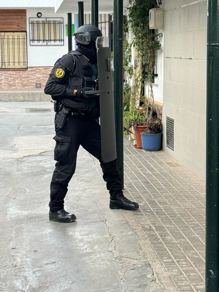 La Guardia Civil se incauta de 5.960 plantas de cannabis sativa y de 64 kilos de marihuana en las localidades de Fuente Vaqueros y Pinos Puente