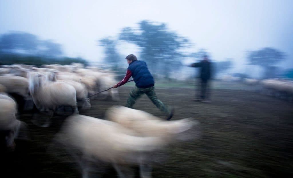 “El gancho”, ganadora del V Concurso Fotográfico Medio Rural y Pesquero en Andalucía