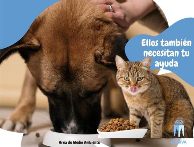 El Ayuntamiento de Órgiva organiza una campaña de recogida de alimentos para animales