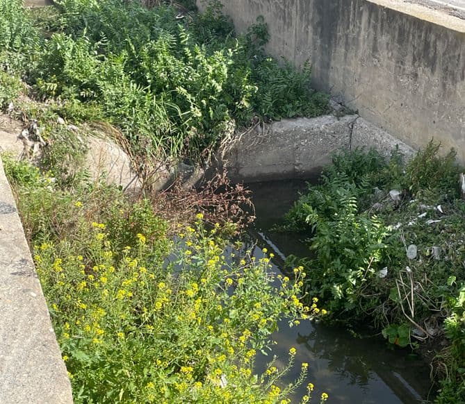 Izquierda Unida Verdes Equo denuncia vertidos y suciedad en el cauce de la Rambla de Las Brujas