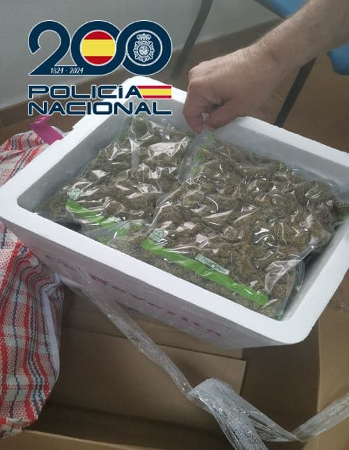 Detenidos cuatro individuos integrantes de una organización dedicada al envío de droga por agencias de paquetería a destinos internacionales