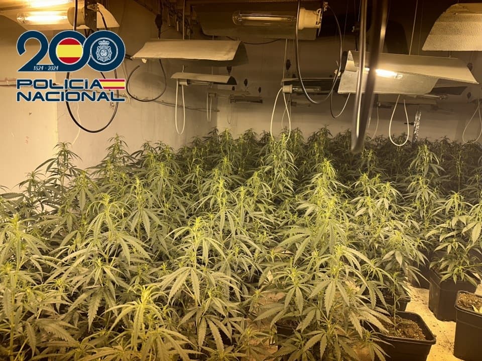La Policía Nacional realiza 25 operaciones antidroga en Granada y Motril en el mes de marzo donde se incautan 6.100 plantas de marihuana