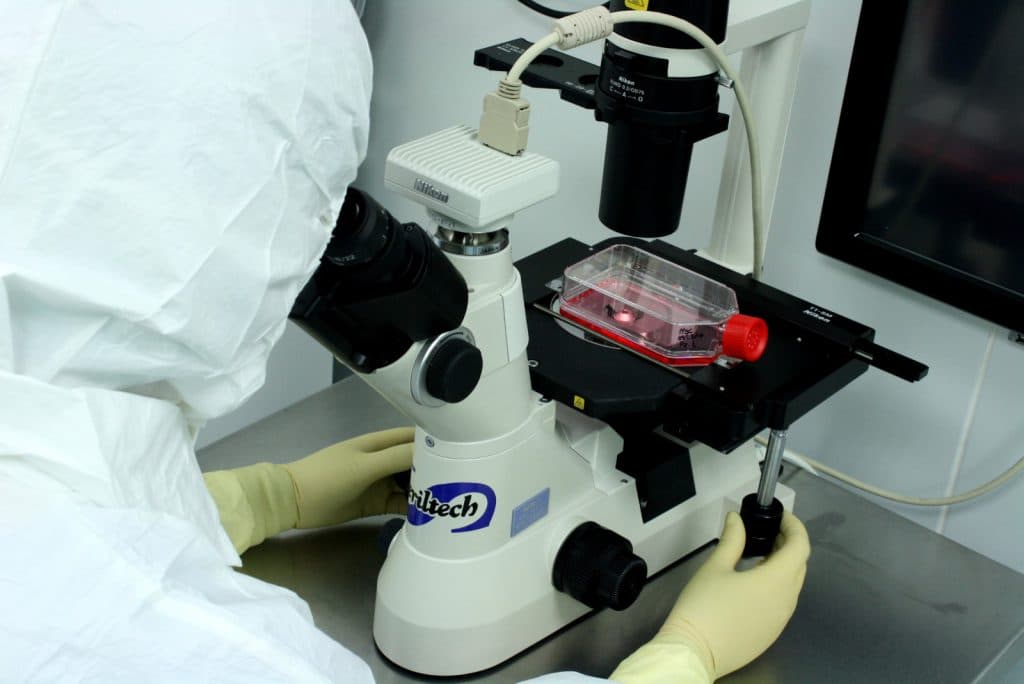 Un ensayo clínico probará la eficacia de las células madre en el tratamiento de úlceras venosas de miembros inferiores