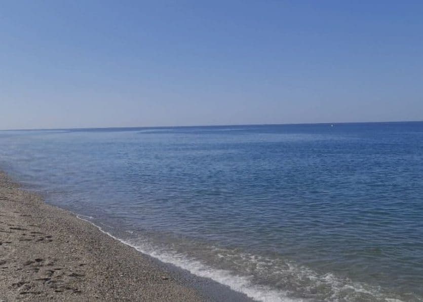 Abierta la convocatoria de ayudas que compensa la parada temporal del marisqueo del erizo de mar y ortiguilla en el Mediterráneo