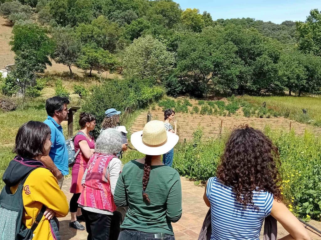 Iniciado el proyecto “Mujeres y jóvenes en la producción ecológica”, con 40 acciones formativas