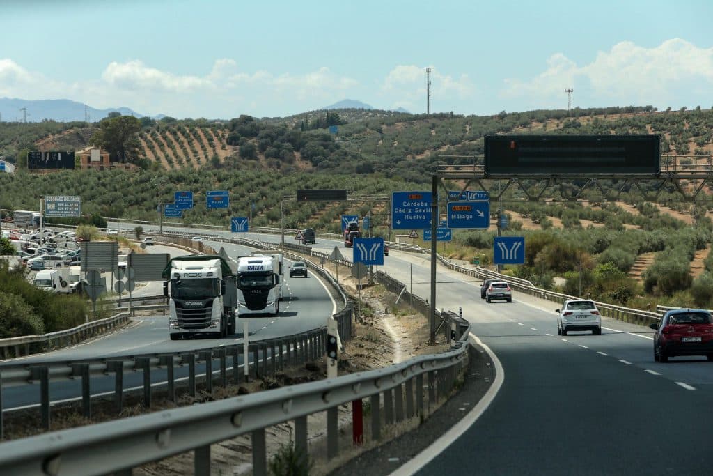 Adjudicada la revegetación de autovías de Granada, Almería, Granada, Jaén y Málaga con 5.200 plantas y arbustos
