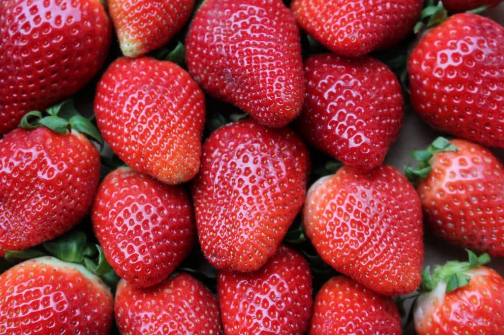 Andalucía, líder en comercialización internacional de fresas, frambuesas y arándanos frescos