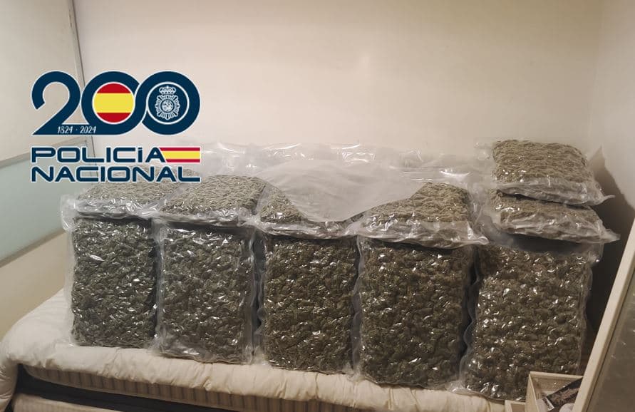 Intervenidos más de 500 kilos de marihuana y cerca de 700.000 euros a una organización criminal dedicada al tráfico internacional de marihuana
