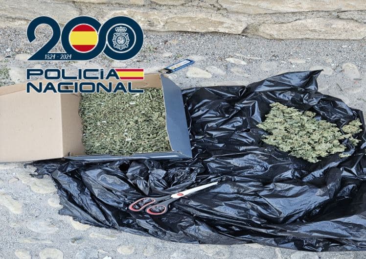 La Policía Nacional ha realizado cerca de 30 operaciones antidroga en Granada y Motril en el mes de mayo incautándose de más de 4.150 plantas de marihuana