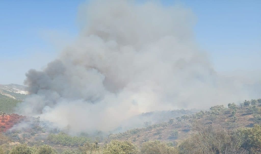 Declarado un incendio forestal en la localidad granadina de Víznar en fase de «emergencia»