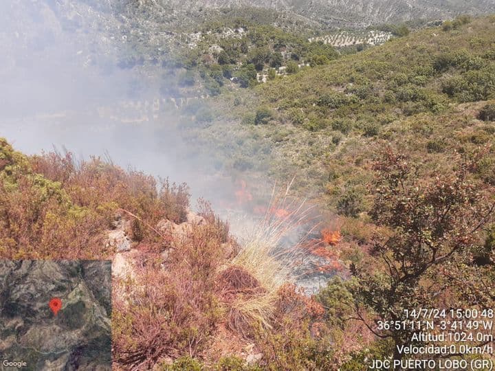 Incendio forestal en el municipio costero de Lentegí