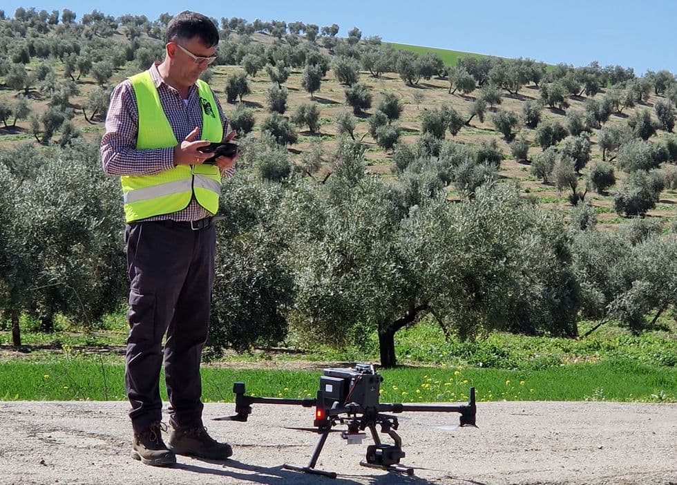 Un sistema con Inteligencia Artificial anticipa la cosecha de olivar en municipios de Jaén, Córdoba y Granada