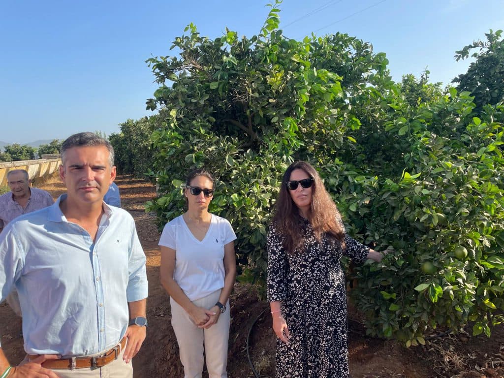 Fernández-Pacheco subraya el compromiso de la Junta con jóvenes y mujeres del sector agrario