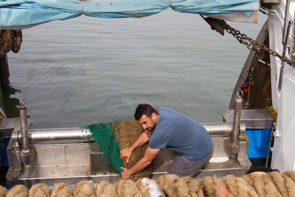 La CE aprueba el Plan de Gestión para la pesca artesanal de la draga en el litoral mediterráneo